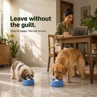 Slow Feeder Dog Bowl