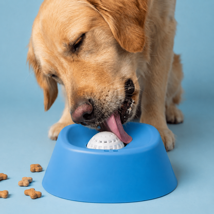 Slow Feeder Dog Bowl